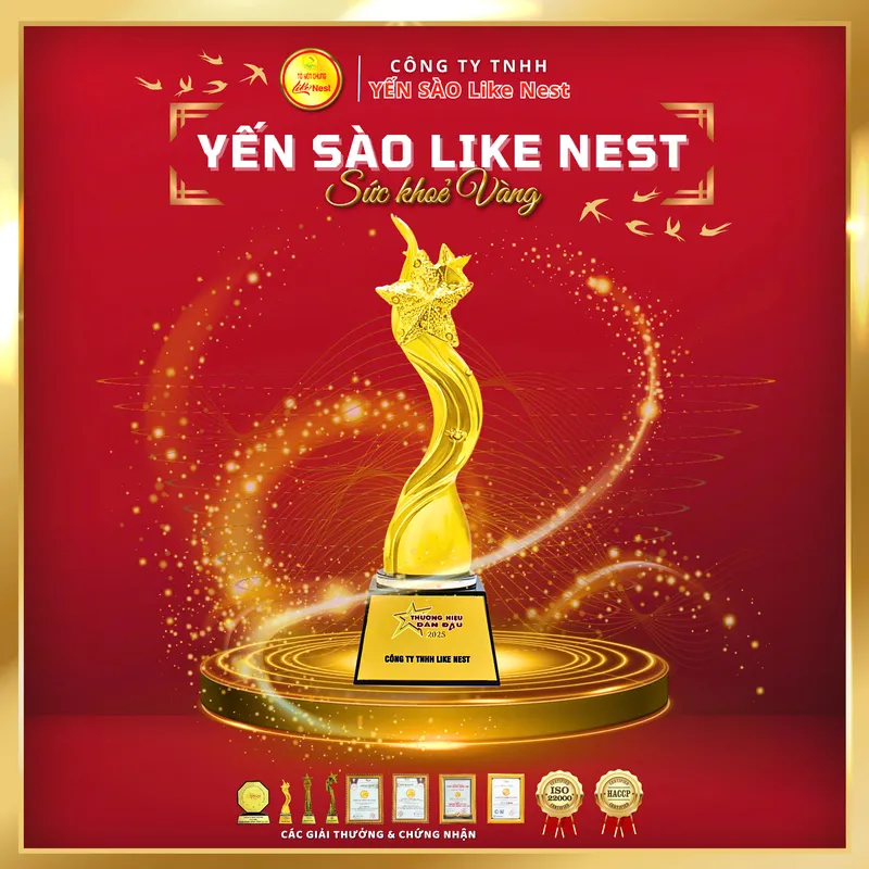 Sản phẩm z6520272009395f39fbcdd79ce66eb0d4efc9891e91982 882 — Công Ty TNHH LIKE NEST — MST 0317117381