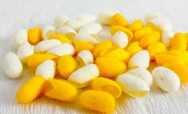 Sản phẩm 1 ken tam la gi — Công Ty TNHH TK Cosmetic — MST 0317142733