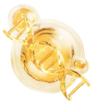 Sản phẩm serum4 e1749435932559 — Công Ty TNHH TK Cosmetic — MST 0317142733