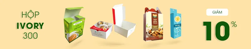 Sản phẩm hop i300 giam 10 1 — Công Ty TNHH Thương Mại Xuất Nhập Khẩu Sản Xuất Bao Bì Leo Six — MST 0317185550
