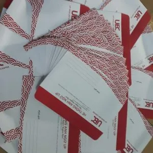 Sản phẩm z3264109656065_98db3f239613b5d2e747fb952b1302c3 300x300 — Công Ty TNHH Thương Mại Xuất Nhập Khẩu Sản Xuất Bao Bì Leo Six — MST 0317185550