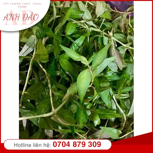 Sản phẩm nong san (15) — Thực Phẩm Anh Đào - Công Ty TNHH MTV Nguyễn Anh Đào — MST 0317222763