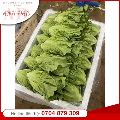Sản phẩm nong san (2) — Thực Phẩm Anh Đào - Công Ty TNHH MTV Nguyễn Anh Đào — MST 0317222763