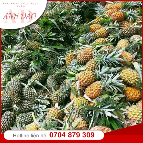 Sản phẩm nong san (5) — Thực Phẩm Anh Đào - Công Ty TNHH MTV Nguyễn Anh Đào — MST 0317222763
