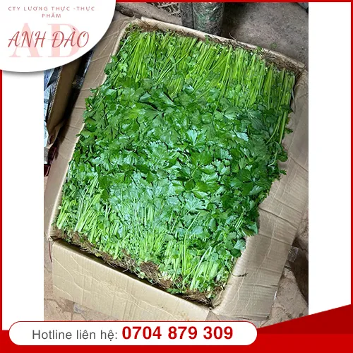 Sản phẩm nong san (7) — Thực Phẩm Anh Đào - Công Ty TNHH MTV Nguyễn Anh Đào — MST 0317222763