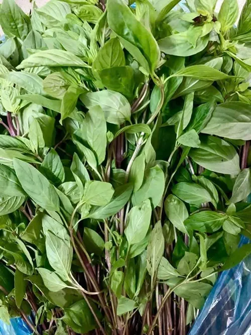Sản phẩm z6646669871648_af26793180de8c3b443222a50e6d16d4 — Thực Phẩm Anh Đào - Công Ty TNHH MTV Nguyễn Anh Đào — MST 0317222763