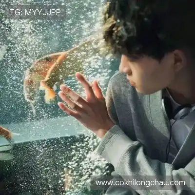 Sản phẩm cheng hui ni team — Cơ Khí Chế Tạo Long Châu - Công Ty TNHH Cơ Khí - Chế Tạo Long Châu — MST 0317241438