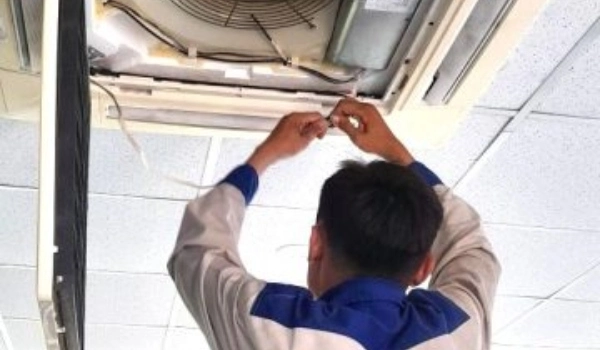 Sản phẩm sua chua may lanh — Công Ty TNHH Điện Lạnh Sapa — MST 0317245464