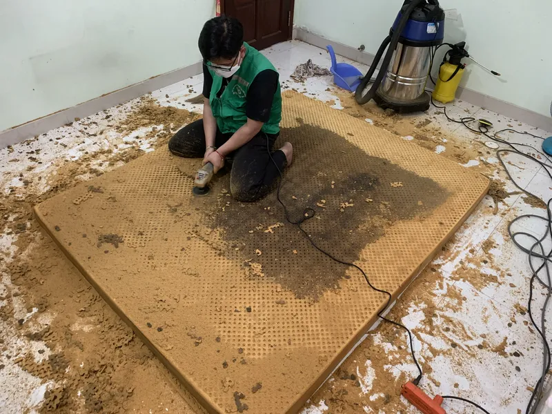 Sản phẩm 511241 — Công Ty TNHH Thương Mại Dịch Vụ Việt Phát Clean — MST 0317248458