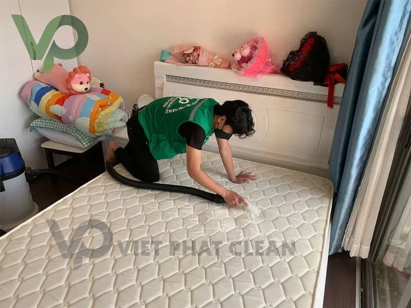 Sản phẩm giat nem go vap 2 — Công Ty TNHH Thương Mại Dịch Vụ Việt Phát Clean — MST 0317248458
