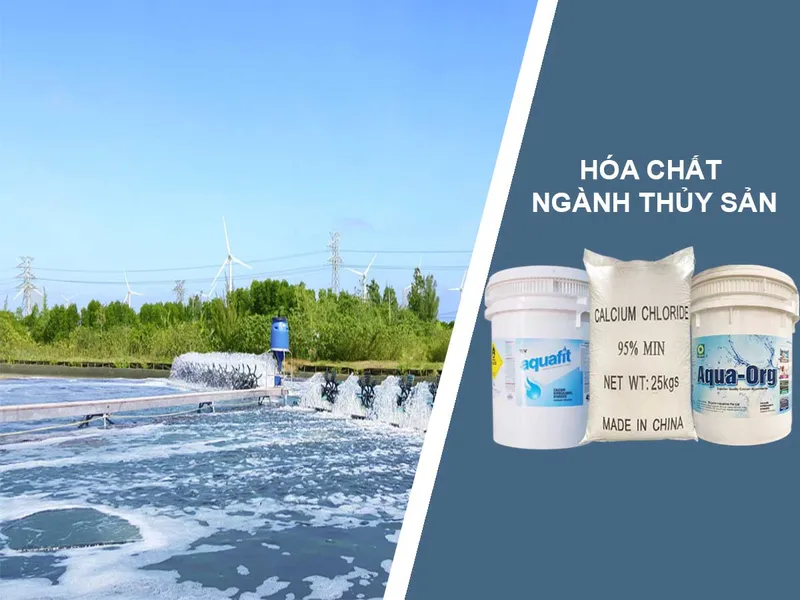 Sản phẩm hc thuy san dt gh — Công Ty TNHH Thương Mại Dịch Vụ XNK Quyết Tâm — MST 0317263600