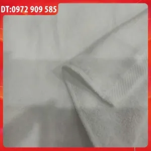 Sản phẩm khan tam b 65130320gr xen nhung xuat nhat 0 — Khăn Khách Sạn Giá Sỉ — MST 0317263992