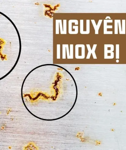 Sản phẩm nguyen nhan inox bi ri set 1758686974 — Công Ty TNHH Thép Không Gỉ Rạng Đông — MST 0317273687