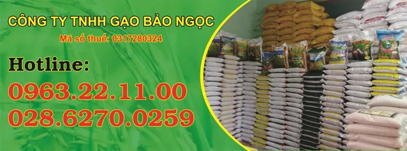 Văn phòng Gạo Bảo Ngọc - Công Ty TNHH Gạo Bảo Ngọc #1024 — MST 0317280324