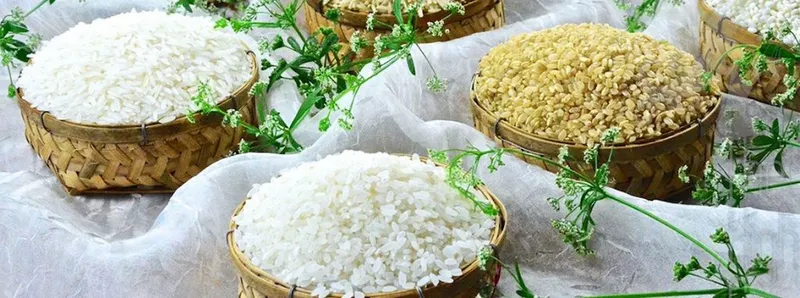 Sản phẩm 1 1024x382 — Gạo Bảo Ngọc - Công Ty TNHH Gạo Bảo Ngọc — MST 0317280324
