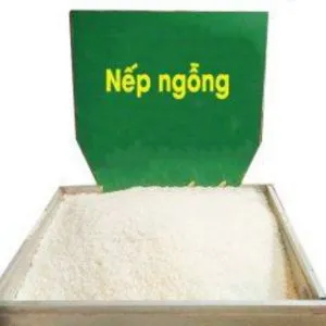 Sản phẩm 2 1 300x300 — Gạo Bảo Ngọc - Công Ty TNHH Gạo Bảo Ngọc — MST 0317280324