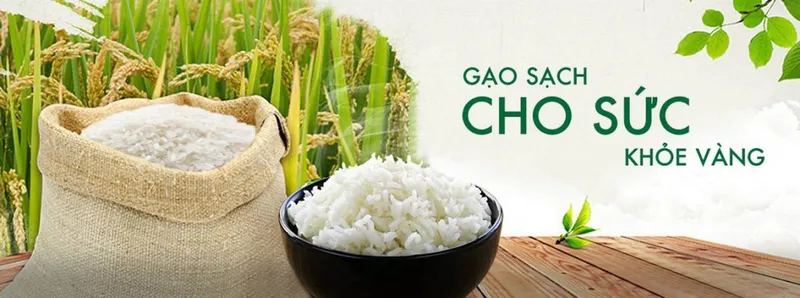 Sản phẩm 2 1024x382 — Gạo Bảo Ngọc - Công Ty TNHH Gạo Bảo Ngọc — MST 0317280324