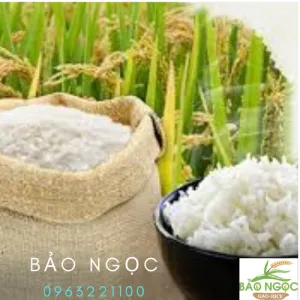 Sản phẩm googl gao 300x300 — Gạo Bảo Ngọc - Công Ty TNHH Gạo Bảo Ngọc — MST 0317280324