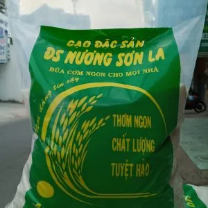 Sản phẩm nuong son la 300x300 — Gạo Bảo Ngọc - Công Ty TNHH Gạo Bảo Ngọc — MST 0317280324