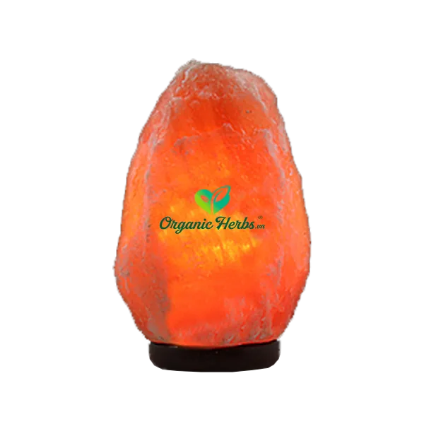 Sản phẩm den da muoi — Công Ty Cổ Phần Thực Mỹ Phẩm ORGANICHERBS — MST 0317294630