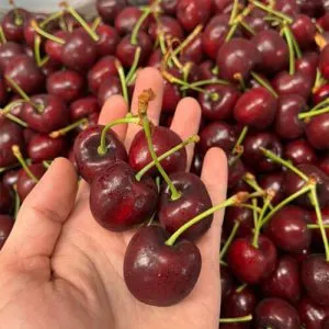 Sản phẩm cherry bao nhieu 1kg 300x300 — Công Ty TNHH Thương Mại TCX — MST 0317321852