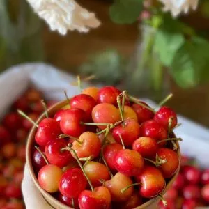 Sản phẩm cherry vang my 300x300 — Công Ty TNHH Thương Mại TCX — MST 0317321852