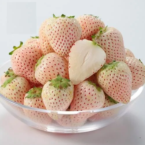 Sản phẩm dau tay trang dat do — Công Ty TNHH Thương Mại TCX — MST 0317321852