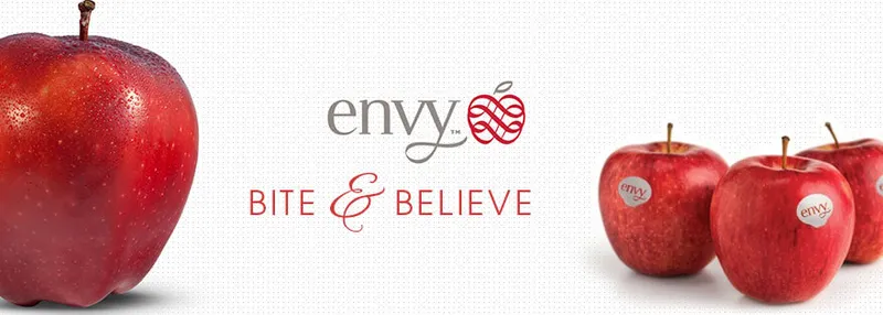 Sản phẩm tao envy — Công Ty TNHH Thương Mại TCX — MST 0317321852