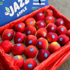 Sản phẩm tao jazz newzealand 300x300 — Công Ty TNHH Thương Mại TCX — MST 0317321852