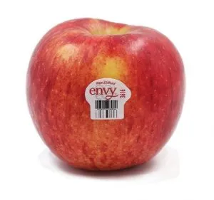 Sản phẩm táo envy newzealand trái cây xanh 300x281 — Công Ty TNHH Thương Mại TCX — MST 0317321852