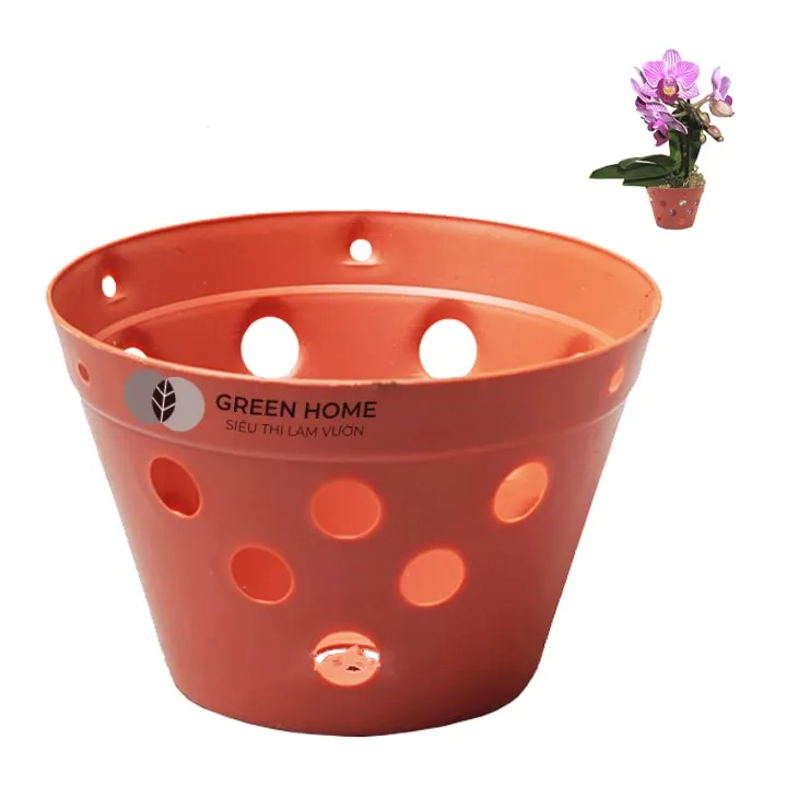 Sản phẩm chau nhua trong phong lan greenhome 11 min 1 — Công Ty TNHH Dịch Vụ Đầu Tư Hoàng Hưng — MST 0317353244