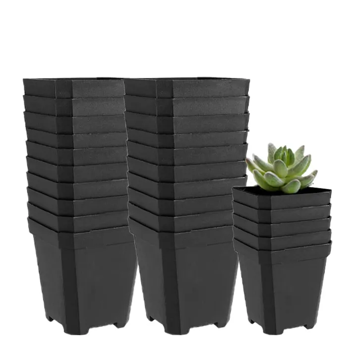Sản phẩm chau nhua trong sen da greenhome 7x7cm 11 min — Công Ty TNHH Dịch Vụ Đầu Tư Hoàng Hưng — MST 0317353244