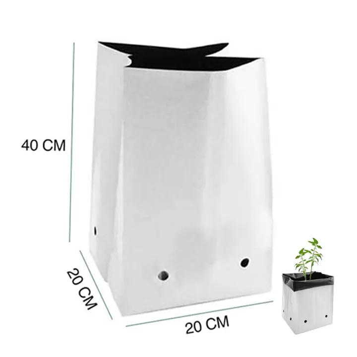 Sản phẩm tui pe trong cay greenhome 40x20 11 min 1 — Công Ty TNHH Dịch Vụ Đầu Tư Hoàng Hưng — MST 0317353244