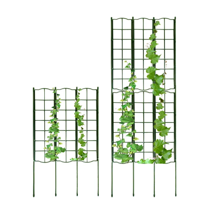 Sản phẩm gian leo cho cay daim greenhome 11 — Công Ty TNHH Dịch Vụ Đầu Tư Hoàng Hưng — MST 0317353244