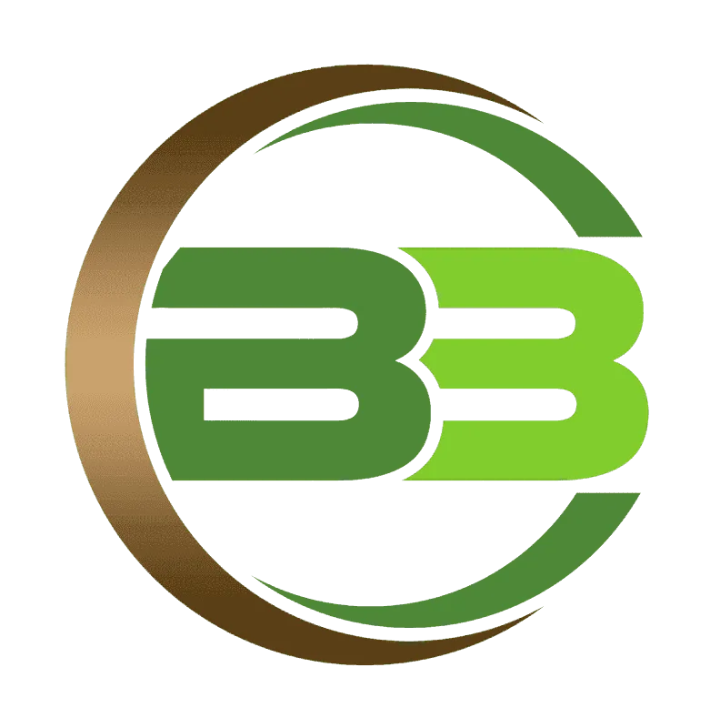 Logo Công Ty TNHH Thương Mại Dịch Vụ Bao Bì BABICA