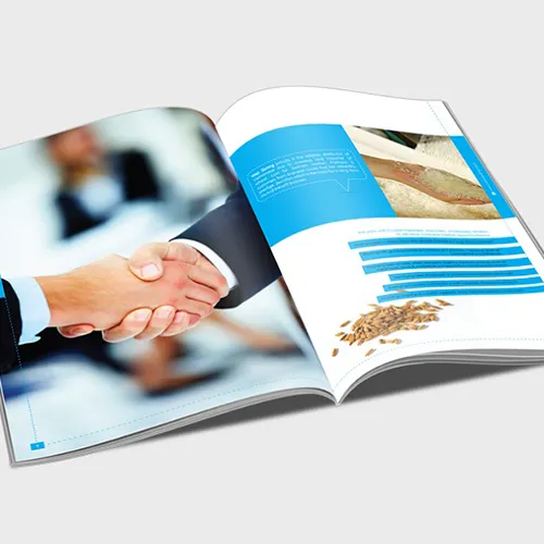 Sản phẩm in catalogue(1) — Quảng Cáo An Gia Phú - Công Ty TNHH Sản Xuất Thương Mại Dịch Vụ An Gia Phú — MST 0317358997