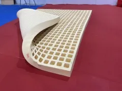 Sản phẩm nem cao su thien nhien 02 1079 — Công Ty Cổ Phần Sản Xuất Latex Foam — MST 0317367409
