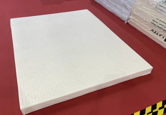 Sản phẩm nem cao su thien nhien 04 8696 — Công Ty Cổ Phần Sản Xuất Latex Foam — MST 0317367409