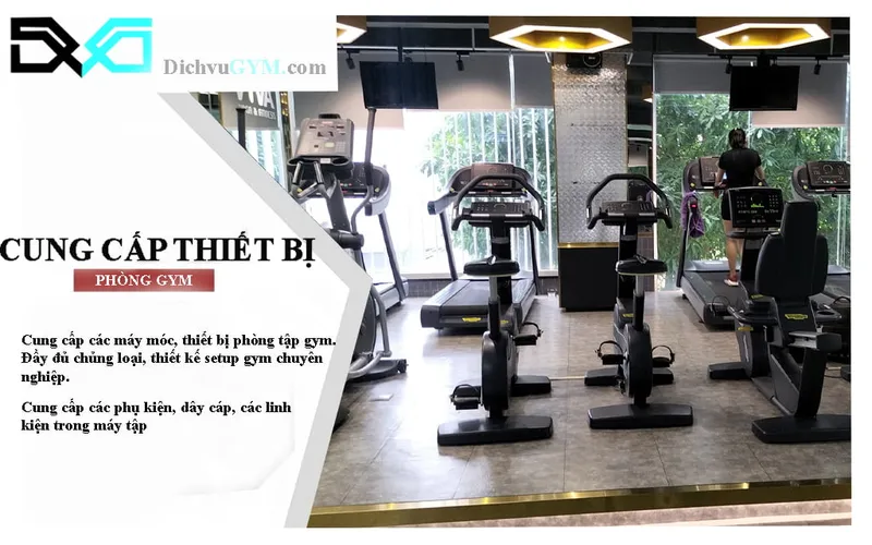 Sản phẩm cung cap thiet bi phong gym 1 — Công Ty TNHH Giải Pháp Dịch Vụ Gym Việt Nam — MST 0317374290