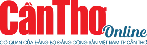 Sản phẩm bao can tho — Thiết Kế Thi Công Văn Phòng Timi Office - Công Ty TNHH Xây Dựng Và Thương Mại Do
Building — MST 0317388381
