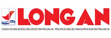 Sản phẩm bao lonhg an — Thiết Kế Thi Công Văn Phòng Timi Office - Công Ty TNHH Xây Dựng Và Thương Mại Do
Building — MST 0317388381