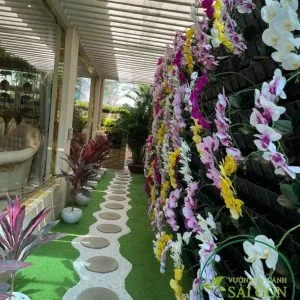 Sản phẩm 0525c67cee5d3e03674c 300x300 — Vườn Cây Cảnh Sài Gòn - Công Ty TNHH Vườn Cây Cảnh Sài Gòn — MST 0317415437