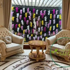 Sản phẩm c4ff3ea61687c6d99f96 300x300 — Vườn Cây Cảnh Sài Gòn - Công Ty TNHH Vườn Cây Cảnh Sài Gòn — MST 0317415437