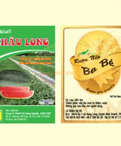 Sản phẩm 20 247x296 — In ấn Trọng Nguyễn - Công Ty TNHH Thiết Kế In ấn Trọng Nguyễn — MST 0317418357
