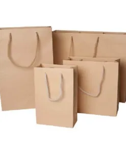 Sản phẩm khai niem tui giay kraft 247x296 — In ấn Trọng Nguyễn - Công Ty TNHH Thiết Kế In ấn Trọng Nguyễn — MST 0317418357