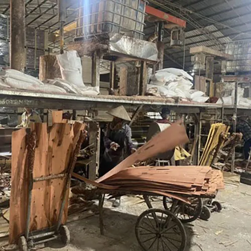 Nhà máy Ván ép Coppha GS Số 1 Sài Gòn - Công Ty TNHH GS Số 1 Sài Gòn #2 — MST 0317442568