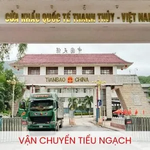 Sản phẩm 350254147_977272339978054_7465764117232768071_n 2 300x300 — VietAviation Cargo - Công Ty TNHH Vận Tải Hậu Cần Hàng Không Việt — MST 0317453312
