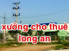 Sản phẩm longan3_3 — Công Ty TNHH Thương Mại - Dịch Vụ Và Đầu Tư Xây Dựng Đắc Đô — MST 0317458166
