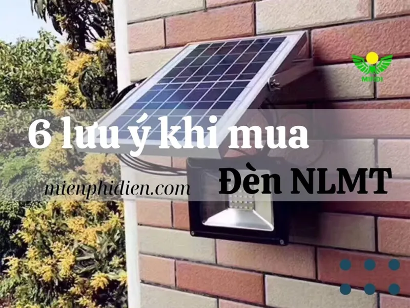 Sản phẩm 6 luuykhimuahang 1024x768 — Công Ty TNHH Xuất Nhập Khẩu Công Nghệ Xanh MIFIDI — MST 0317469778