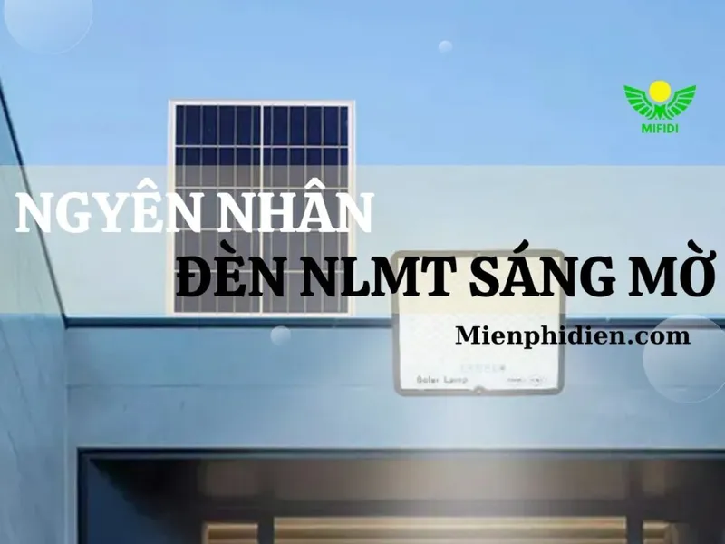 Sản phẩm DEN SANG MO LA DO 1024x768 — Công Ty TNHH Xuất Nhập Khẩu Công Nghệ Xanh MIFIDI — MST 0317469778